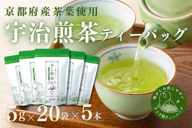 宇治・煎茶ティーバッグ 5g×20個×5袋〈お茶 茶 煎茶 緑茶 かぶせ茶 飲料 ティーバッグ 煎茶ティーバッグ ティーパック 宇治茶 日本茶 加工食品〉