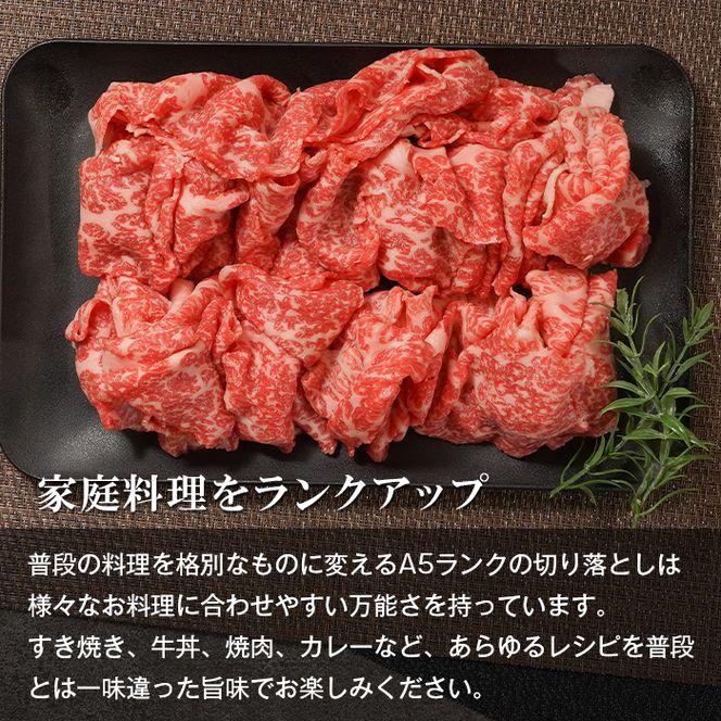 【定期便12ヶ月】【A5ランク】淡路島産黒毛和牛 切り落とし 500g 切り落し