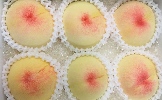 桃 2026年 先行予約 6月の旬な 白桃 をお届け！約1.5kg 5～7玉 もも モモ 岡山県 赤磐市産 国産 フルーツ 果物 ギフト あみかフルーツ 岡山の桃 旬のフルーツ 柔らかい ジューシー 産地直送 旬の桃 