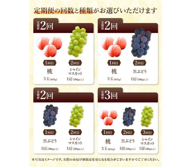 【2025年先行予約】【 定期便 】 厳選 旬のフルーツ定期便 シャインマスカット 桃 黒ぶどう 果物 フルーツ くだもの 旬 もも ぶどう 高級 山梨 富士吉田 フルーツ 富士吉田市