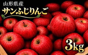 FYN9-945 ≪2026年先行予約≫山形県産 サンふじ りんご 3kg 2026年11月中旬から順次発送 林檎 りんご リンゴ 秋果実 果物 くだもの フルーツ 産地直送 期間限定 山形県 西川町 月山
