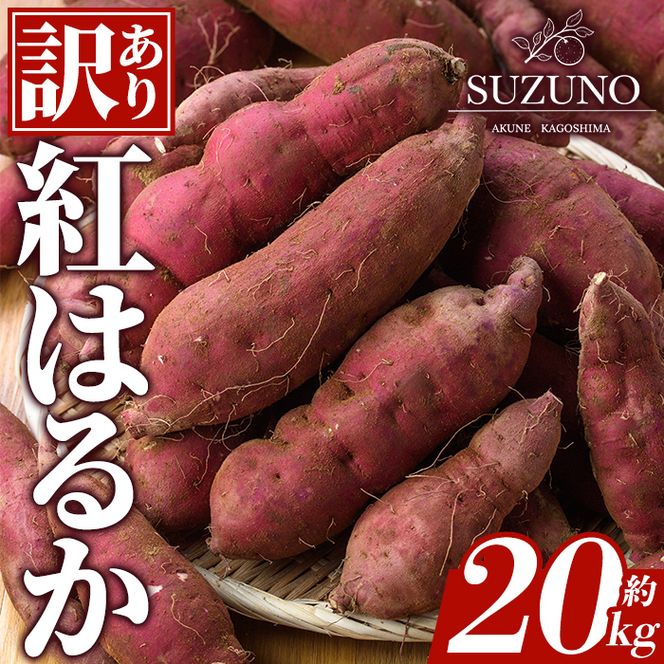 ＜先行予約受付中！2026年11月中旬以降順次発送予定＞訳あり！さつまいも「紅はるか」(約20kg) 国産 さつまいも サツマイモ 薩摩芋 野菜 根菜 青果 生芋 蜜芋 焼き芋 煮物 スイーツ 料理 おかず 【SUZUNO】akn109-04