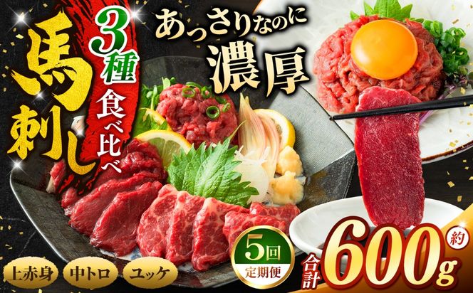馬刺し 【5ヶ月定期便】 3種 食べ比べ セット 約600g （ 訳あり 上赤身 ・ 霜降り 中トロ ・ 馬肉 ユッケ 各約200g ） | 馬刺し 上赤身 霜降り 中トロ 馬刺し 馬肉ユッケ あっさり 馬刺 長野 信州 濃い旨み 馬肉 お肉 刺身 冷凍 小分け 送料 無料 伊那 信州【102-01】