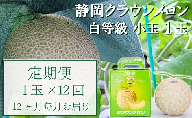 【12か月定期便】クラウンメロン【並(白等級)】小玉(1.1kg前後)1玉入り 果物 メロン青肉 フルーツ デザート 高級メロンブランド 高級メロン ブランドメロン