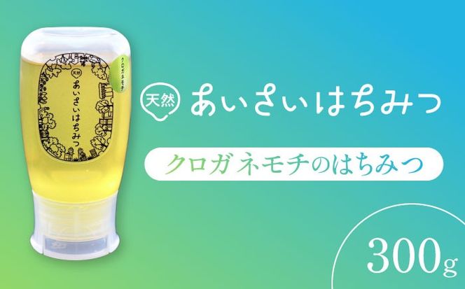 あいさいはちみつ クロガネモチ 300g 蜂蜜 国産 チューブ 愛西市/あいさいはちみつ[AEBP001]