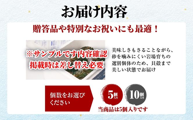 北海道室蘭産 天然活蝦夷あわび 5個入（1個100g～120g前後）（2026年1月中旬頃お届け） MROH006