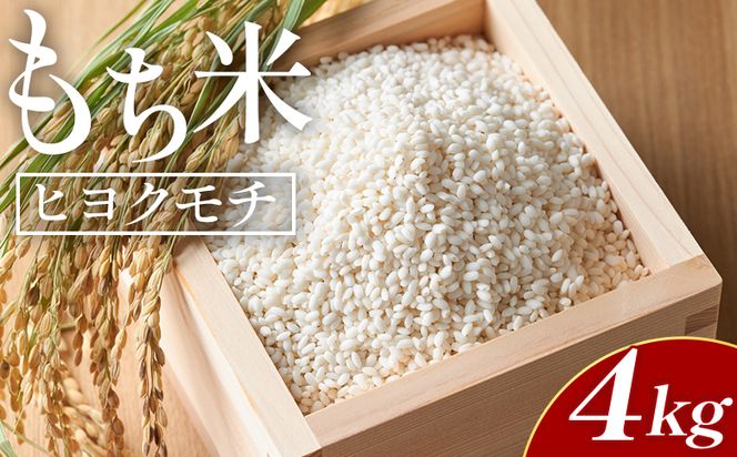 ymsz qN` 4kg(2kg×2) - Y  `     ͂ ڂ G Ԕ   AW  m s 퉷 at-0036