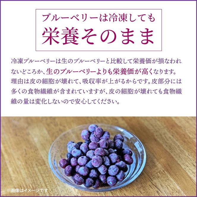 【ご家庭用】冷凍ブルーベリー2.5kg（大分県産）_1894R
