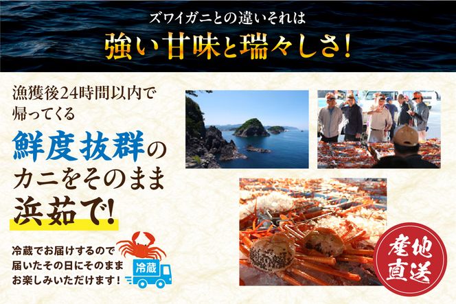 【香住ガニ フレッシュむき身セット 1kg 冷蔵】カニの本場 香住産 最上質な香住ガニを釜茹で カニの旨味と甘味が抜群 丁寧にむき身したフレッシュ棒身とほぐし身のセット 足 爪 身 脚 ボイル かに カニ 蟹 大人気 おすすめ 兵庫県 香美町 マルヤ水産 11-01 ☆