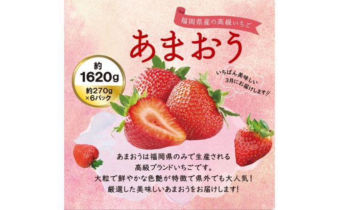 【全2回定期便】【2027年3月初旬より順次発送】あまおう いちご 1620g（約270g×6パック）《築上町》【株式会社HSP-テクノ】【配送不可地域：北海道・沖縄・離島】 いちご 苺 グランデ等級 果物 イチゴ[ABFG004]