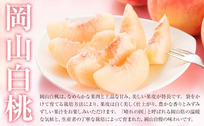 【2027年発送先行予約】岡山白桃 2種 食べ比べ 約750g(3玉)×2種 晴れの国おかやま館 (つむぐ株式会社) 《2027年7月中旬-8月下旬頃出荷》岡山県 笠岡市 フルーツ 果物 果実 桃 白桃 もも モモ【配送不可地域：離島】---H-109---