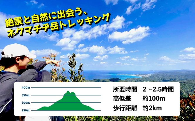 沖縄県北部やんばる・大宜味村最高峰ネクマチヂ岳を登る【2名様】