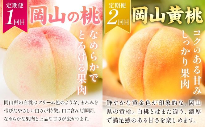 フルーツ 定期便 全5回 岡山県の 贅沢 フルーツ定期便 白桃 黄桃 ニューピオーネ シャインマスカット 梨《7月-12月末頃出荷》岡山県 矢掛町 送料無料 果物 フルーツ 旬 もも ぶどう なし お取り寄せフルーツ---ofn_czfrutei_26_50000_jul5---