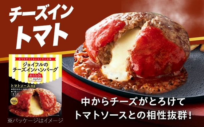 【全6回定期便】ジョイフル ハンバーグ スペシャル 詰め合わせ 2種 30個 セット《築上町》【株式会社　ジョイフル】[ABAA079]