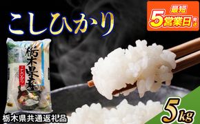 米 コシヒカリ 5kg 栃木県産【栃木県共通返礼品】