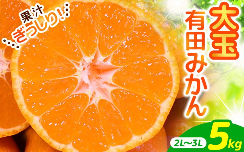 みかん 有田みかん 5kg(2L〜3L)家庭用 手選別で厳選[2025年11月下旬〜1月中旬ごろに順次発送予定] / みかん フルーツ 果物 くだもの 有田みかん 蜜柑 柑橘[hdm001-1A]