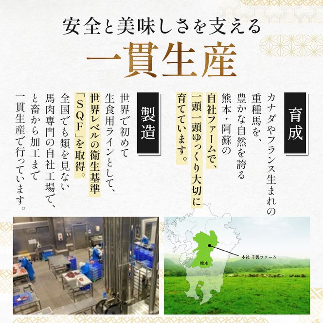 FKK19-971_馬刺し国産赤身ブロック400g 馬刺し 赤身 肉 馬肉
