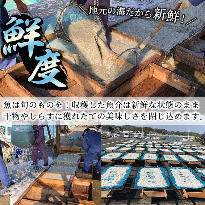 小あじの煮干(計1.2kg・300g×4P) あじ 煮干し ダシ 南蛮 だし汁 出し汁 にぼし 【AS-12】【岩田水産】