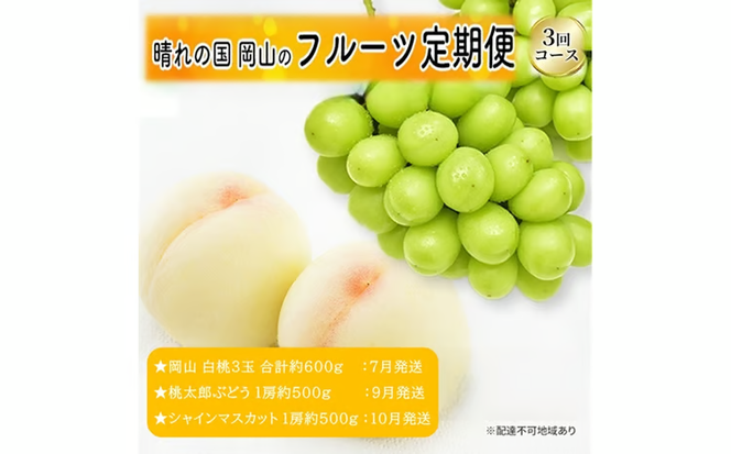 先行予約 晴れの国 岡山のフルーツ 定期便 3回コース 1回目岡山 白桃3玉 合計約600g／2回目桃太郎ぶどう 1房約500g／3回目シャインマスカット 1房約500g