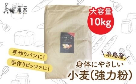 [ 業務用 ] 伊都 の みのり ( 強力粉 ) 10kg[糸島] [天然パン工房楽楽] [いとしまごころ] [AVC064] 小麦粉 国産 パン ロール製粉 小麦