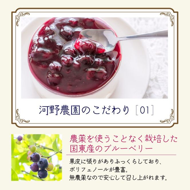 河野農園の無添加ブルーベリーソース150g×5本_1450R