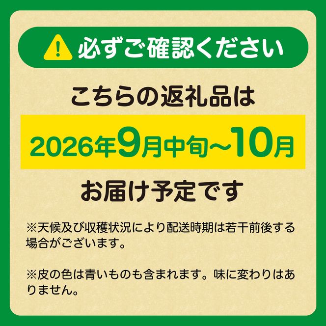 福岡県ブランド 極早生みかん「早味かん」3kg【JAほたるの里】_HA0886