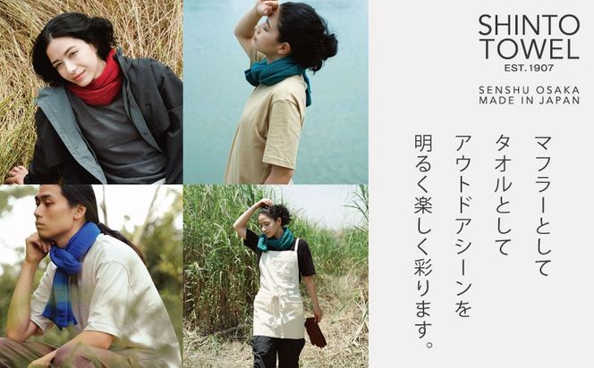 TST0012 【高島屋選定品】SHINTO TOWEL 2.5重ガーゼSTL マフラー Lセット 計3枚