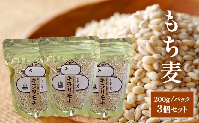 もち麦 キラリモチ 200g パック 3個 セット岡山 高梁市 宇治町産 米 