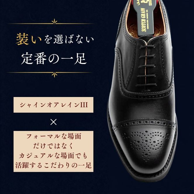 スコッチグレイン ビジネスシューズ メンズ シャインオアレインIII 2720 セミブローグ 革靴 本革 日本製 EEE 送料無料 ギフト