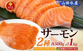 山田水産 アトランティックサーモン ロシア産 紅鮭 ルイベ サーモン 各500g 計1kg 鮭 海鮮 生食用 刺身用 サケ さけ シャケ しゃけ 魚 魚介類 刺身 寿司 丼 新鮮 送料無料 山田水産 北海道 滝川市