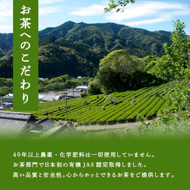 煎茶 No.01 10本 セット 完全有機栽培 有機JAS 高級 熟成 焙煎 有機 オーガニック お茶 日本茶 飲料 小分け 健康 飲み物 贈り物 ギフト 静岡県 藤枝市 