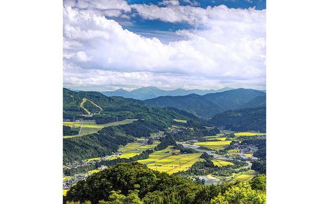 【通年受付】≪令和8年産≫ 農家直送！魚沼産コシヒカリ特別栽培「白羽毛の米」精米 (300g×20袋) 6kg