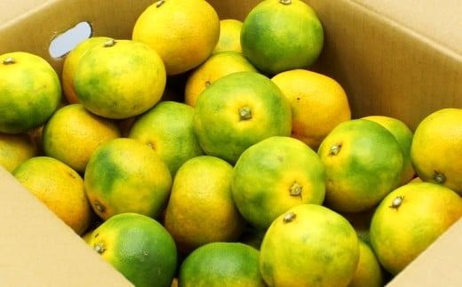 福岡県ブランド みかん 「早味かん」 3kg 【2026年9月下旬～10月下旬発送予定】 蜜柑 ミカン 柑橘 果物 フルーツ 九州 福岡県 香春町 冷蔵