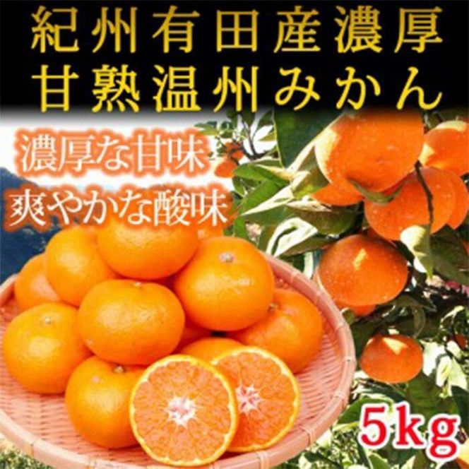 〈定期便〉【2・4・6・8・10・12月 全6回】和歌山産 旬のフルーツ お楽しみ 定期便 【魚鶴】◆｜不知火 清見 スイカ 桃 みかん フルーツ ふるーつ 果物 くだもの 詰め合わせ 果物定期便 オレンジ もも かき 国産 産地直送 美浜町