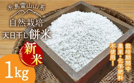 [新米受付中]＼令和6年産/糸島産 餅米 1kg 自然栽培 天日干し [2024年11月下旬以降順次発送] 糸島市 / 大石ファーム もち米 おもち