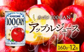 ns038-046　１００ＣＡＮアップル160g×12