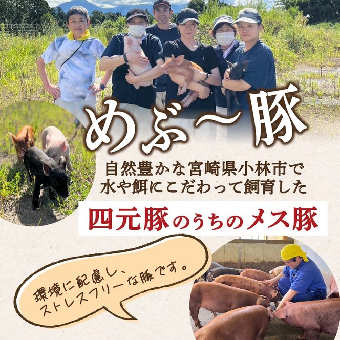 【地元ブランド豚】めぶ～豚 豚バラしゃぶしゃぶ用 3.2kg（豚肉 豚 お肉 豚バラ バラ しゃぶしゃぶ用 小分け）