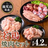 isa726 鹿児島県産 若鶏焼肉セット (合計4.2kg) 鹿児島県産 小分け 真空パック 鶏肉 鳥肉 もも肉 モモ肉 砂肝 肝 手羽中 肩肉 小肉 焼き肉 焼肉 セット 詰め合わせ 冷凍 【TRINITY】