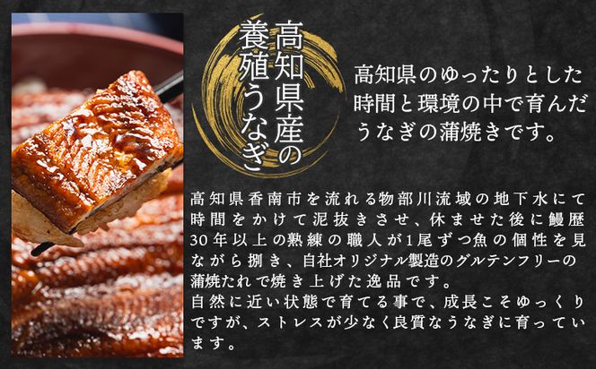 うなぎ 定期便 6回 国産 約220g 2尾 蒲焼き 高知県産 養殖 魚介 国産 海鮮 魚 かばやき 鰻 ウナギ 惣菜 おかず お手軽 加工品 加工食品 冷凍 Wfb-0063