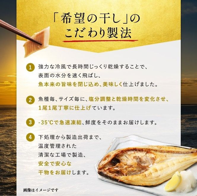 厳選 干物 セット 希望の干し A セット 5枚