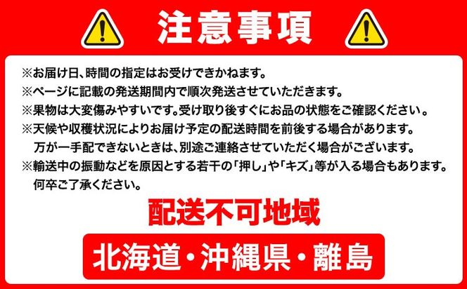 【2027年先行予約】瀬戸ジャイアンツ 2房 (1房480g以上) 合計約1kg 化粧箱入り 株式会社山博《2027年9月上旬-10月上旬頃出荷》岡山県 笠岡市 ぶどう マスカット 果物 大粒 種なし 桃太郎ぶどう 岡山県産 国産 送料無料【配送不可地域あり】---Y-50---