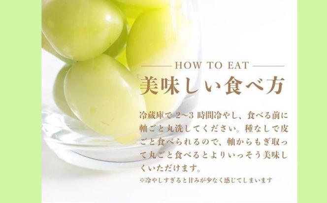 【2026年先行予約！】シャインマスカット500g以上（1房）　FB036