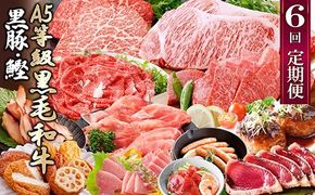 定期便(1年で6回)枕崎お楽しみ便(黒毛和牛・黒豚・かつおetc) GG-6002 【1166744】