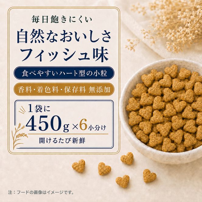 ビューティープロ キャット 下部尿路の健康維持 1歳から 2.7kg ｘ4(ケース単位) キャットフード
