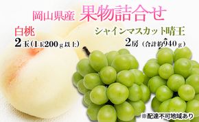 桃 ぶどう 2026年 先行予約 果物詰合せ 白桃 2玉（1玉200g以上） シャイン マスカット 晴王 2房（合計約940g）化粧箱入り 岡山県産 国産 フルーツ ギフト 果物類 セット 