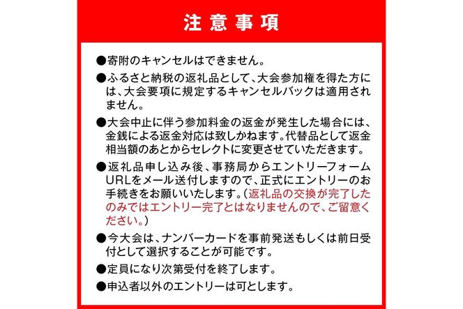山陰海岸ユネスコ世界ジオパーク 第24回（2026年）丹後100kmウルトラマラソン60kmの部出走権 60キロ 令和8年 うるとら まらそん 丹後半島 ランナー 関西 長距離 ultra ふるさと納税 マラソン　RW00004