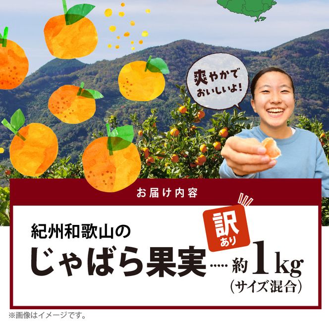 AB7033n_（国産）紀州和歌山の じゃばら 果実（訳あり ジャバラ 家庭用）1kg 国産 紀州 和歌山 じゃばら 果実 訳あり 家庭用