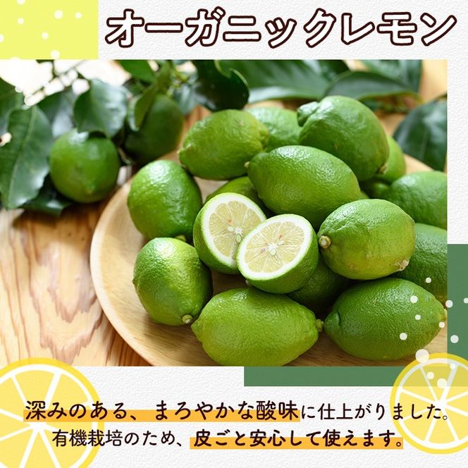 数量限定！有機JAS オーガニックレモン(計2kg) 国産 レモン 檸檬 果実 果物 フルーツ 柑橘 デザート 期間限定 有機栽培 健康志向【中村農場】akn084-03