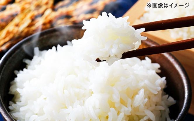 【令和7年産】 にこまる 玄米品質1等米 白米 5kg 糸島市産 糸島市 / 糸島の恵み コメ こめ ご飯[AGR001]