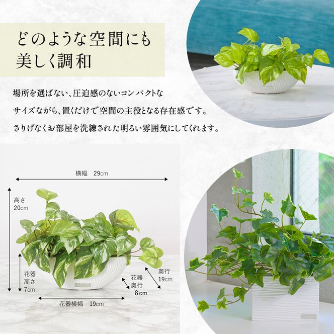観葉植物 エミリオ・ロバ アイビー ポトス 2点セット 造花 Sサイズ つる性 卓上 フェイクグリーン アーティフィシャルグリーン 人工観葉植物 インテリア 水やり不要 テーブル リビング 玄関 ナチュラル ギフト 贈り物 三重県 名張市